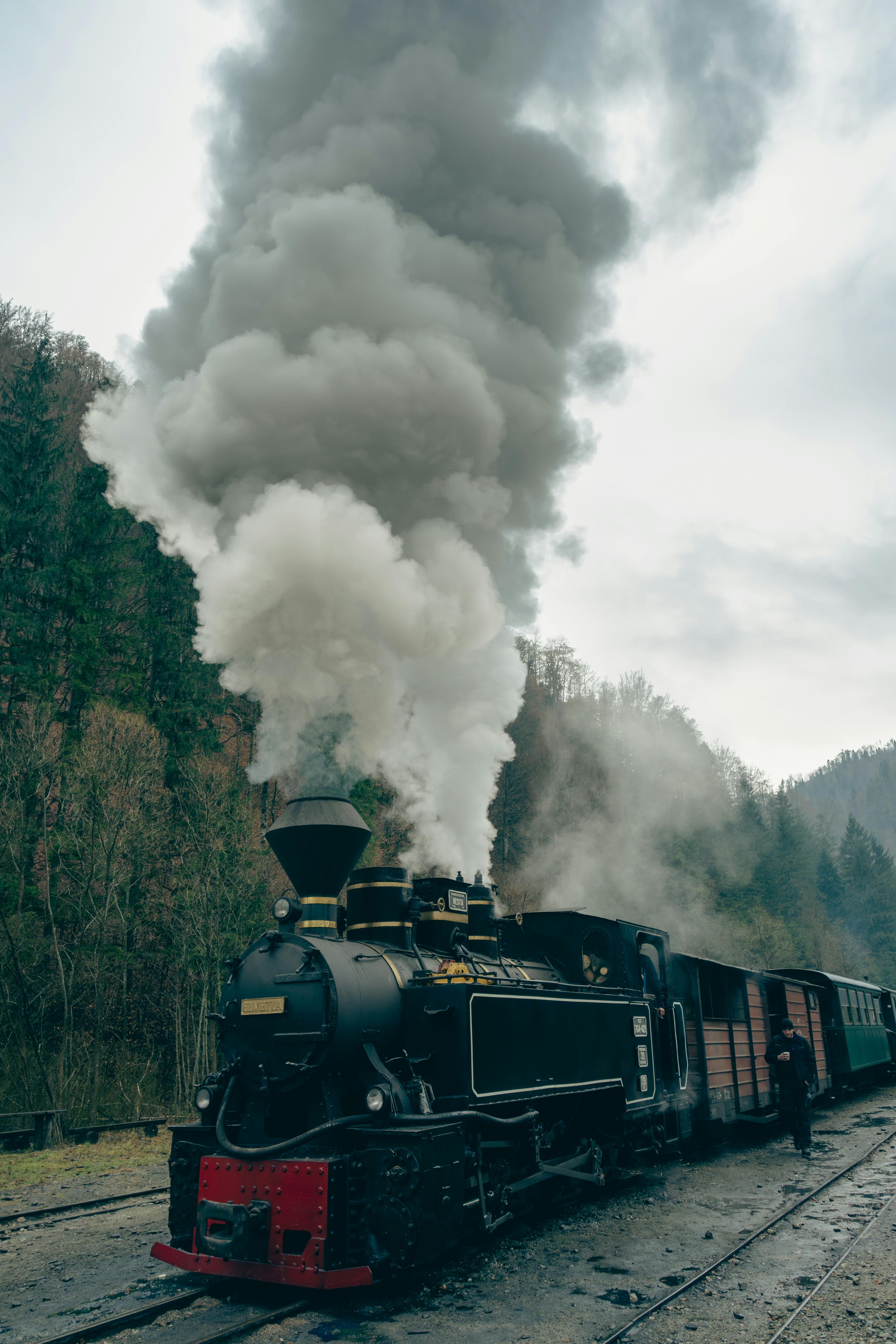 3617x5426 Steam Train in Forest · Free