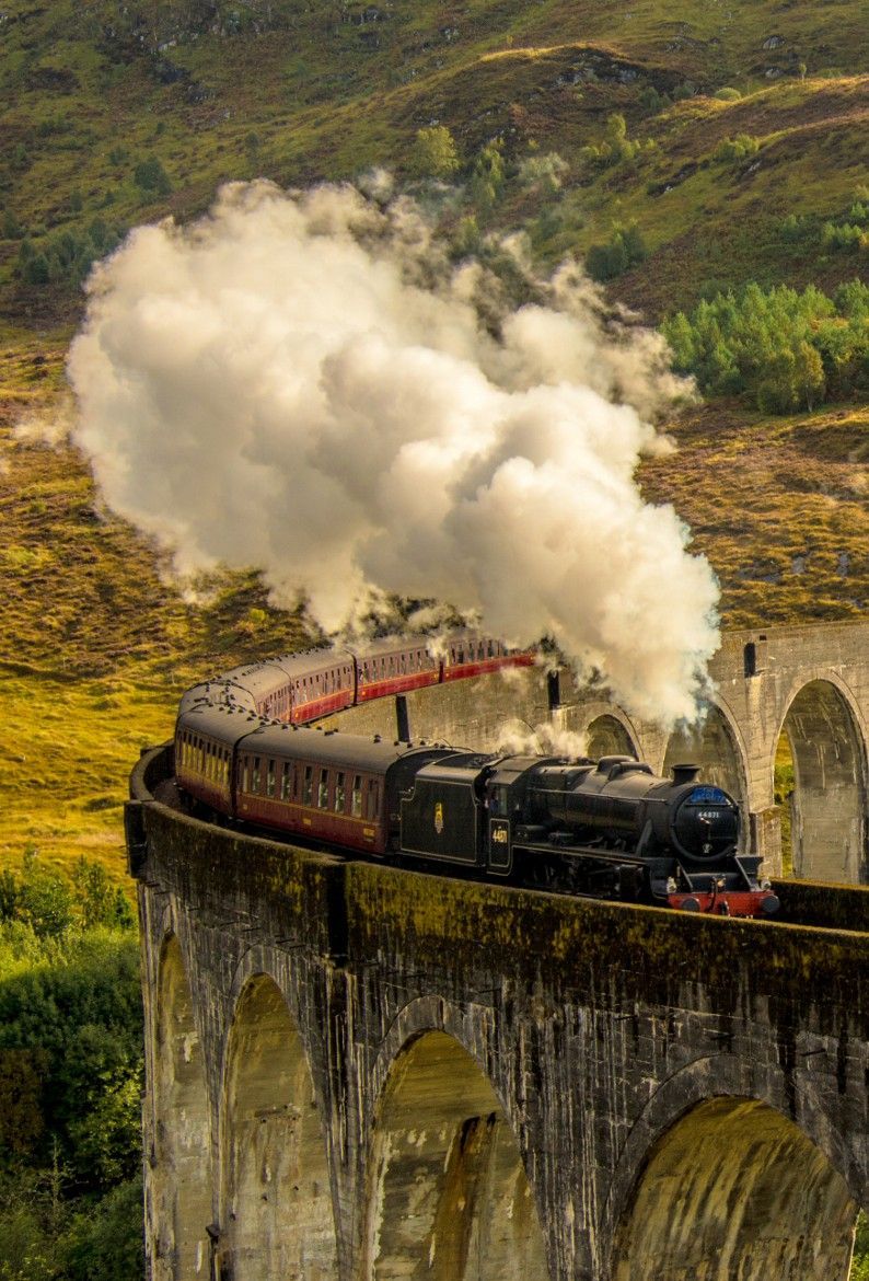794x1170 The Glenfinnan Viaduct Computer wallpaper