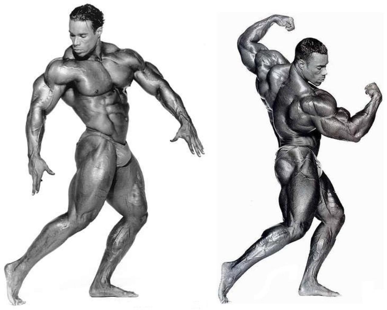 Kevin Levrone Wallpapers - Top Free Kevin Levrone Backgrounds