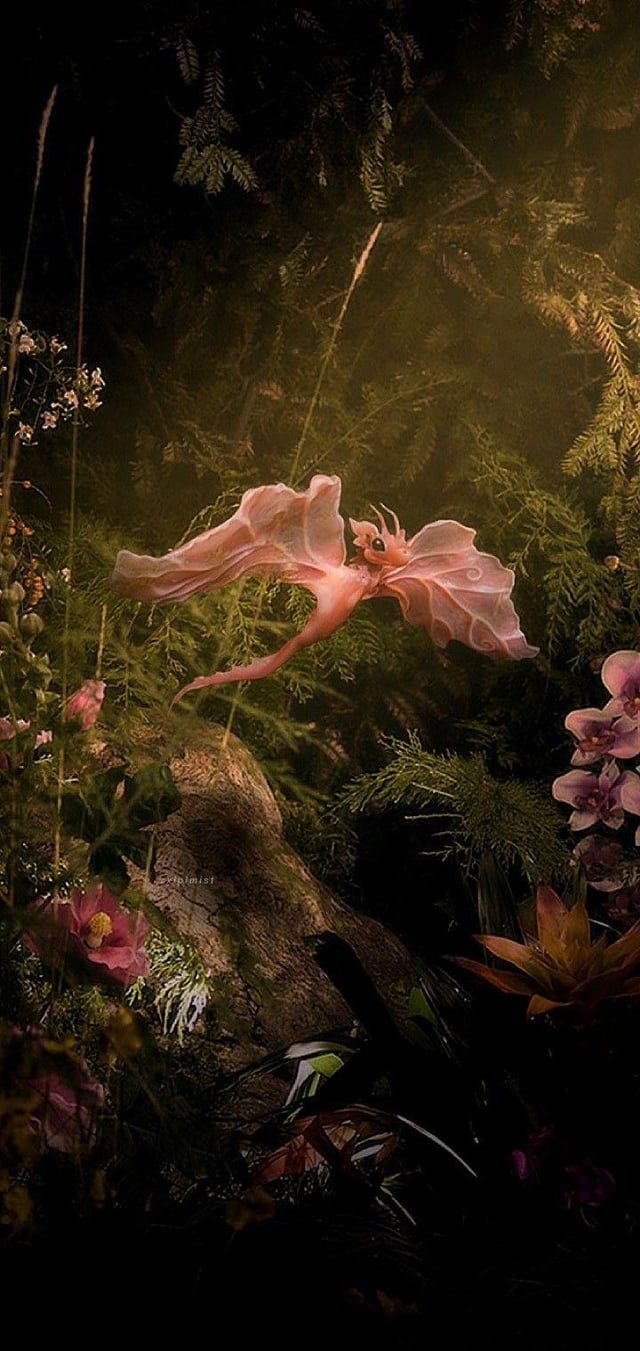 640x1351 Some wallpaper for yall