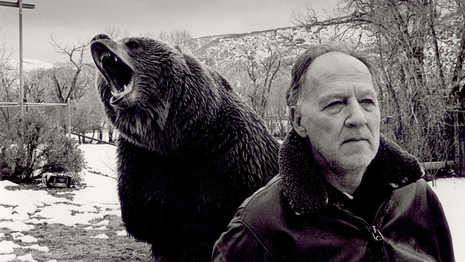 1600x900 Werner Herzog: 10 Essential Movies