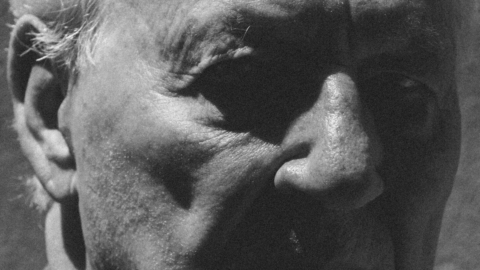 1600x900 Werner Herzog's Fever Dreams