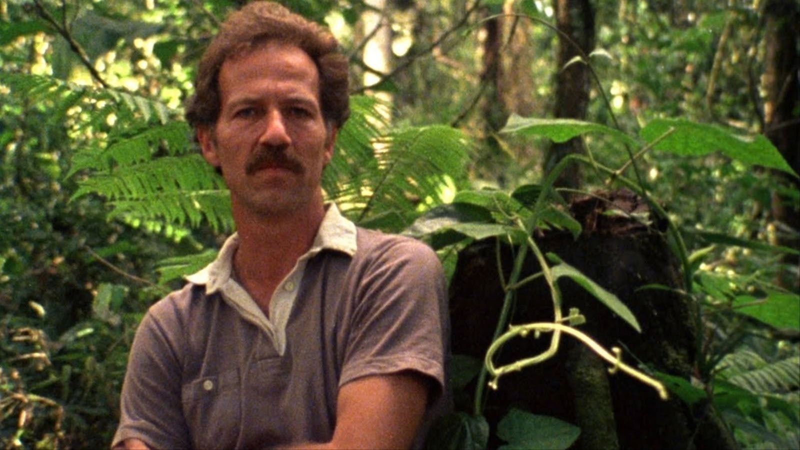 1600x900 Back to the Jungle with Werner Herzog. Current. The Criterion Collection
