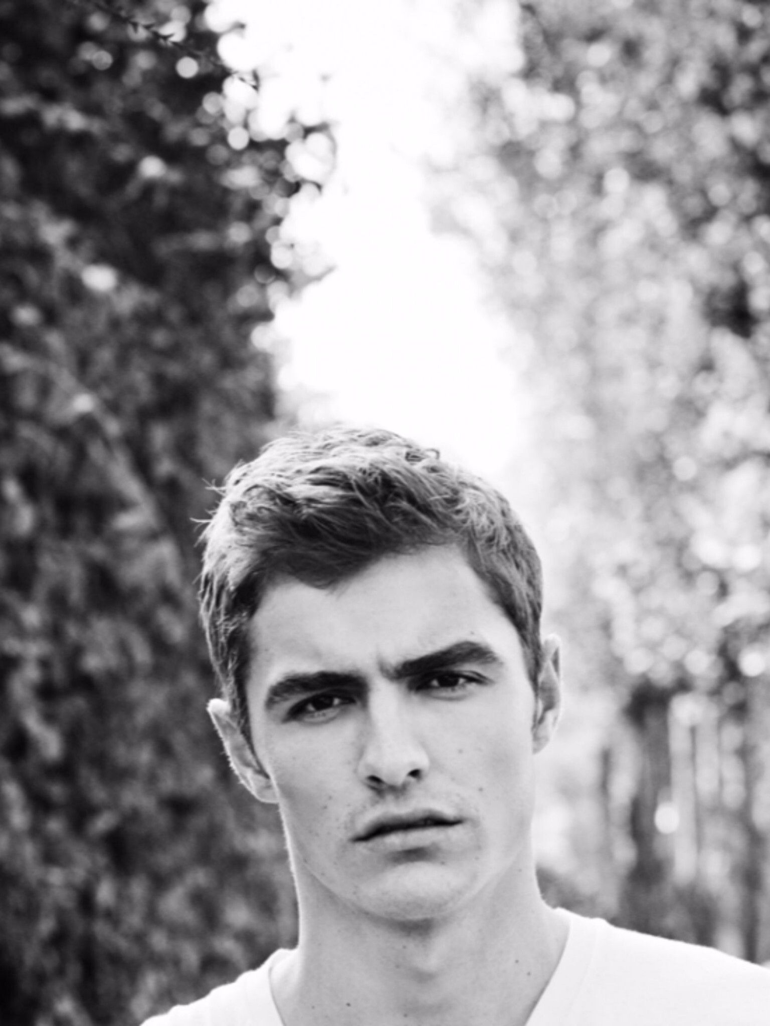 1536x2048 Dave Franco Wallpaper