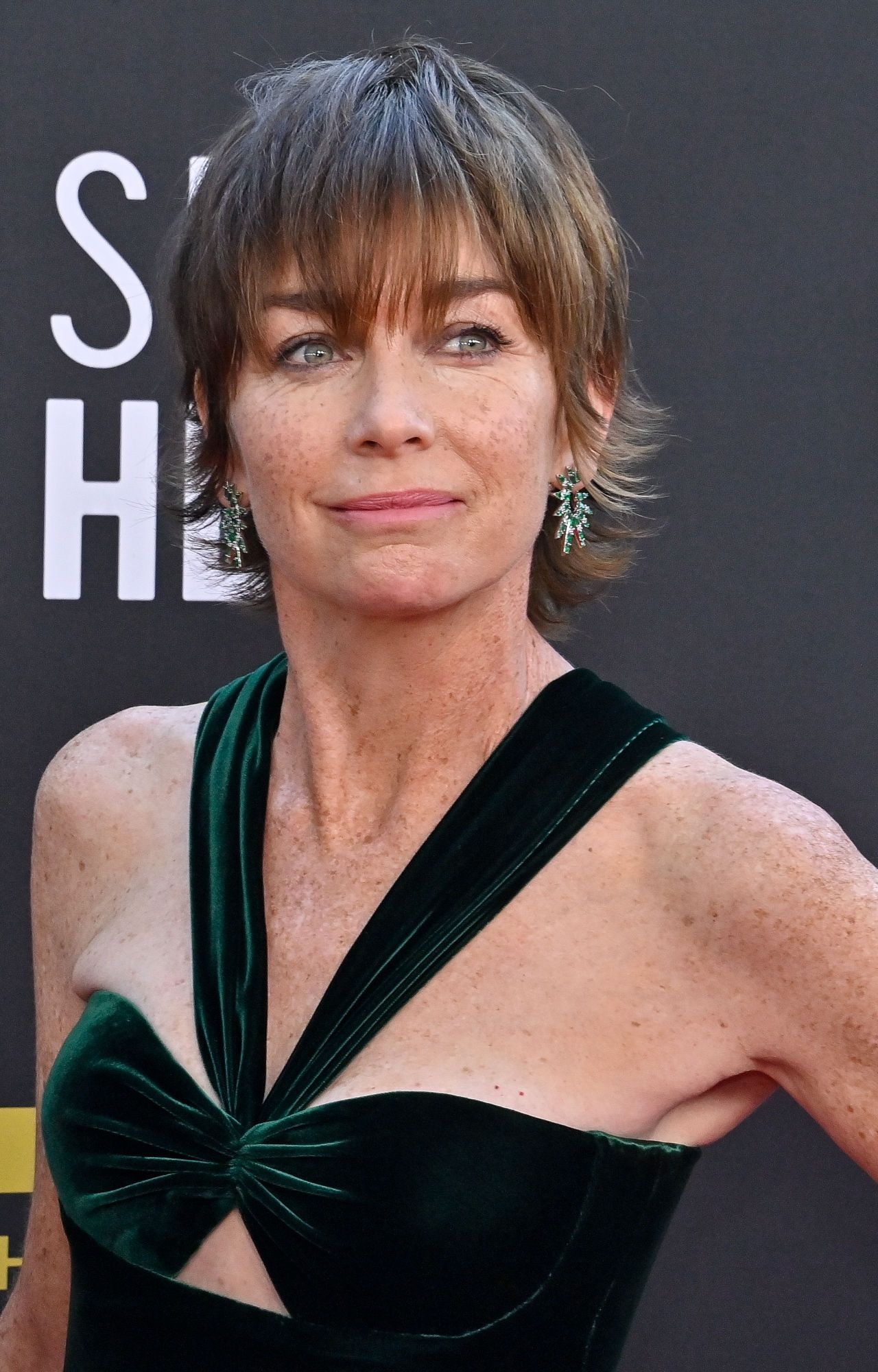 1280x2000 Julianne Nicholson Outfits & Style Photo • CelebMafia