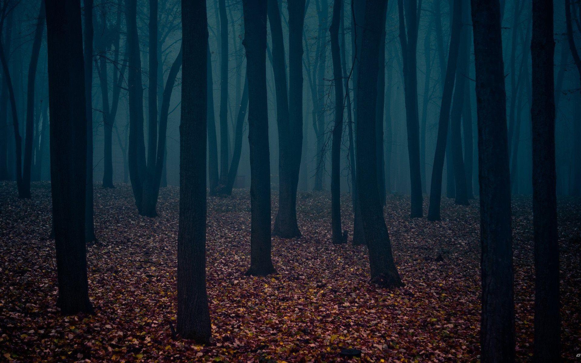 Eerie Wallpapers - Top Free Eerie Backgrounds - WallpaperAccess