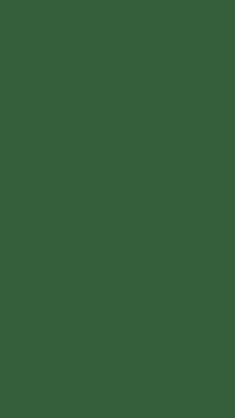 800x1423 Green Plain Background Image Wallpaper