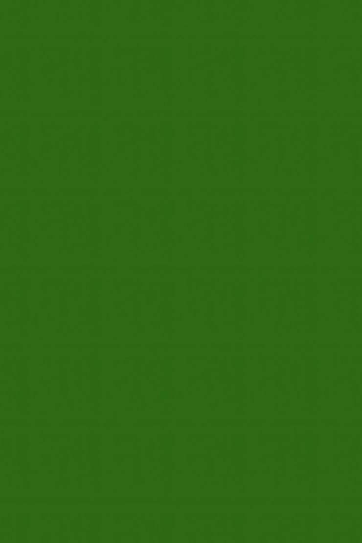 740x1110 Plain green wallpaper Image