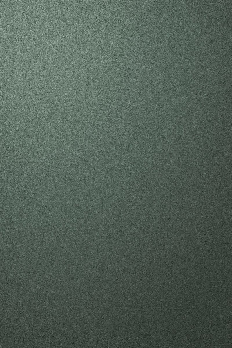 800x1200 Dark moss green blank background