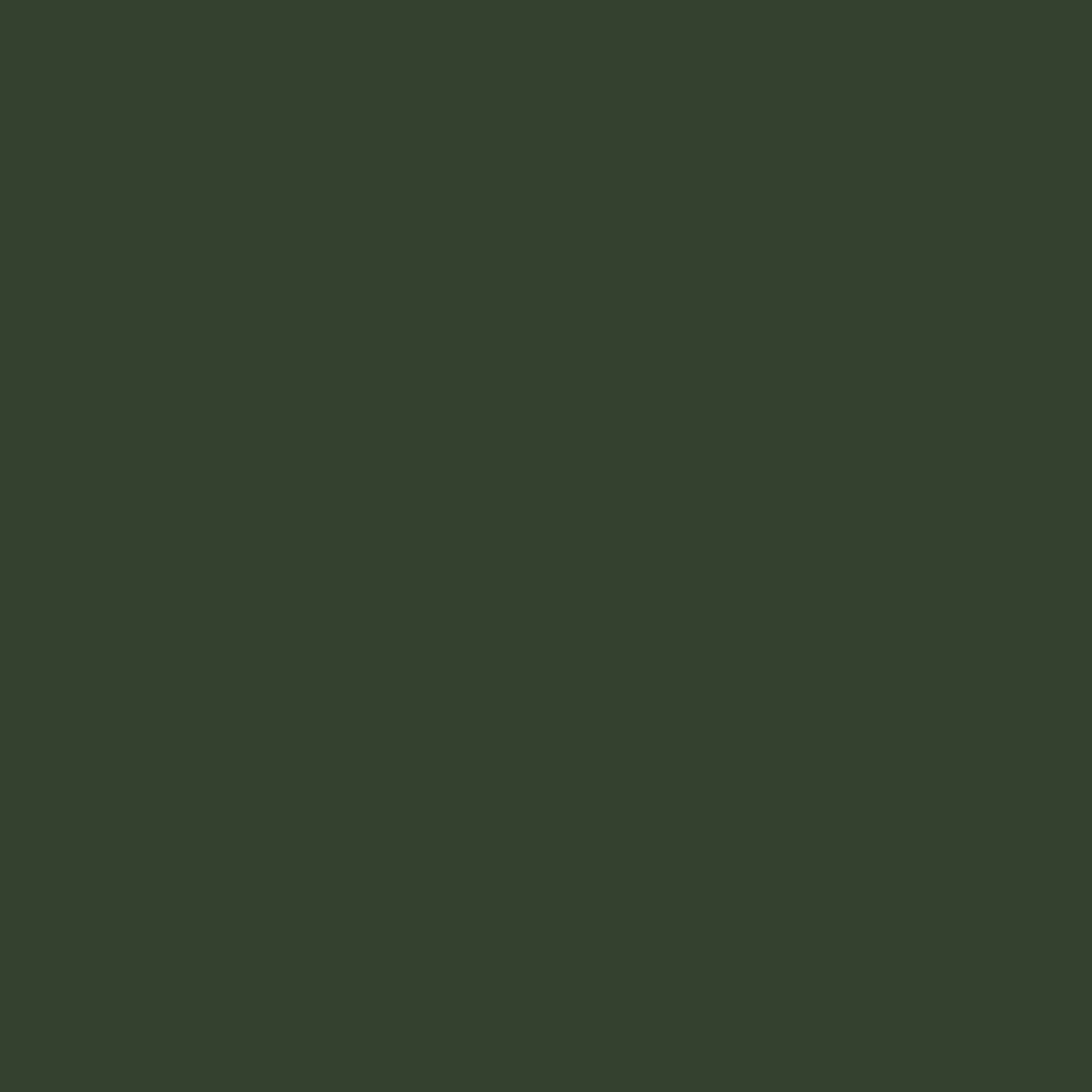 3600x3600 Kombu Green Solid Color Background