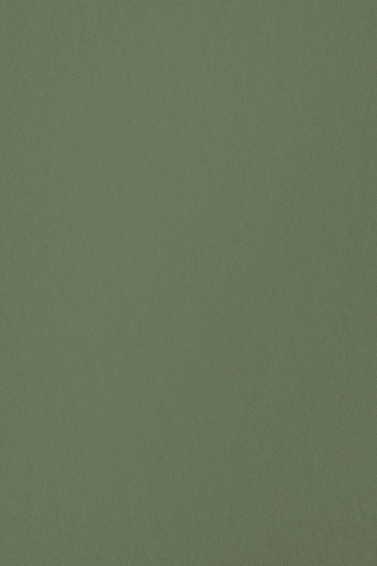 736x1104 Matte Green Wallpaper
