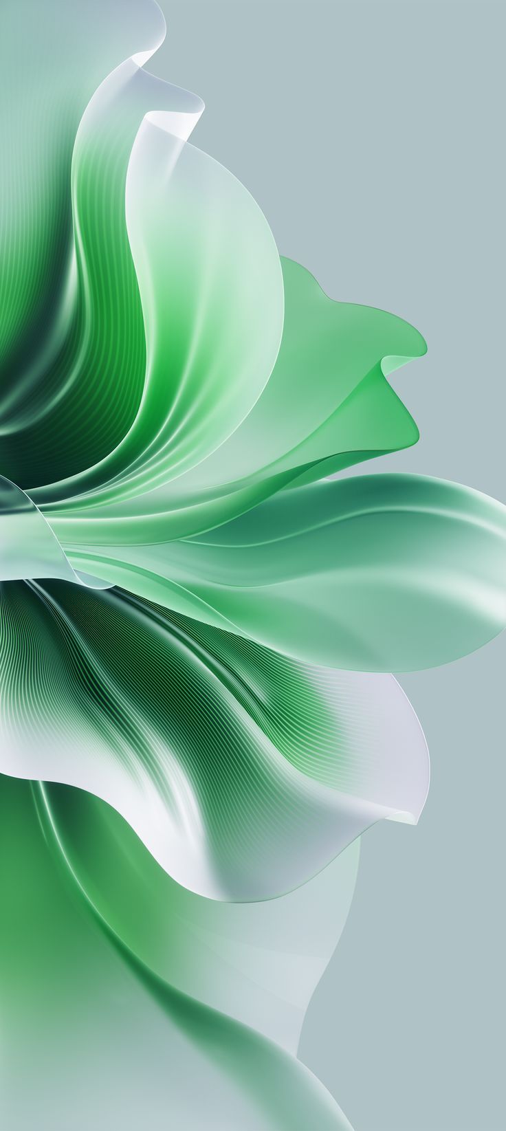 736x1645 Oppo Reno 11 Wallpaper (YTECHB Exclusive)