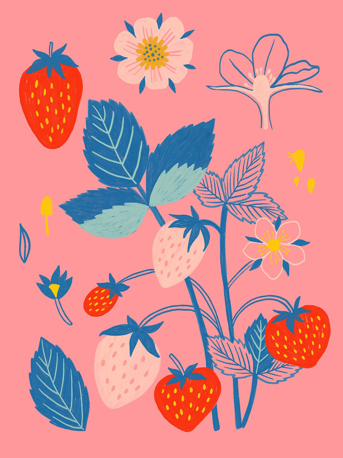 1200x1600 Strawberries Print