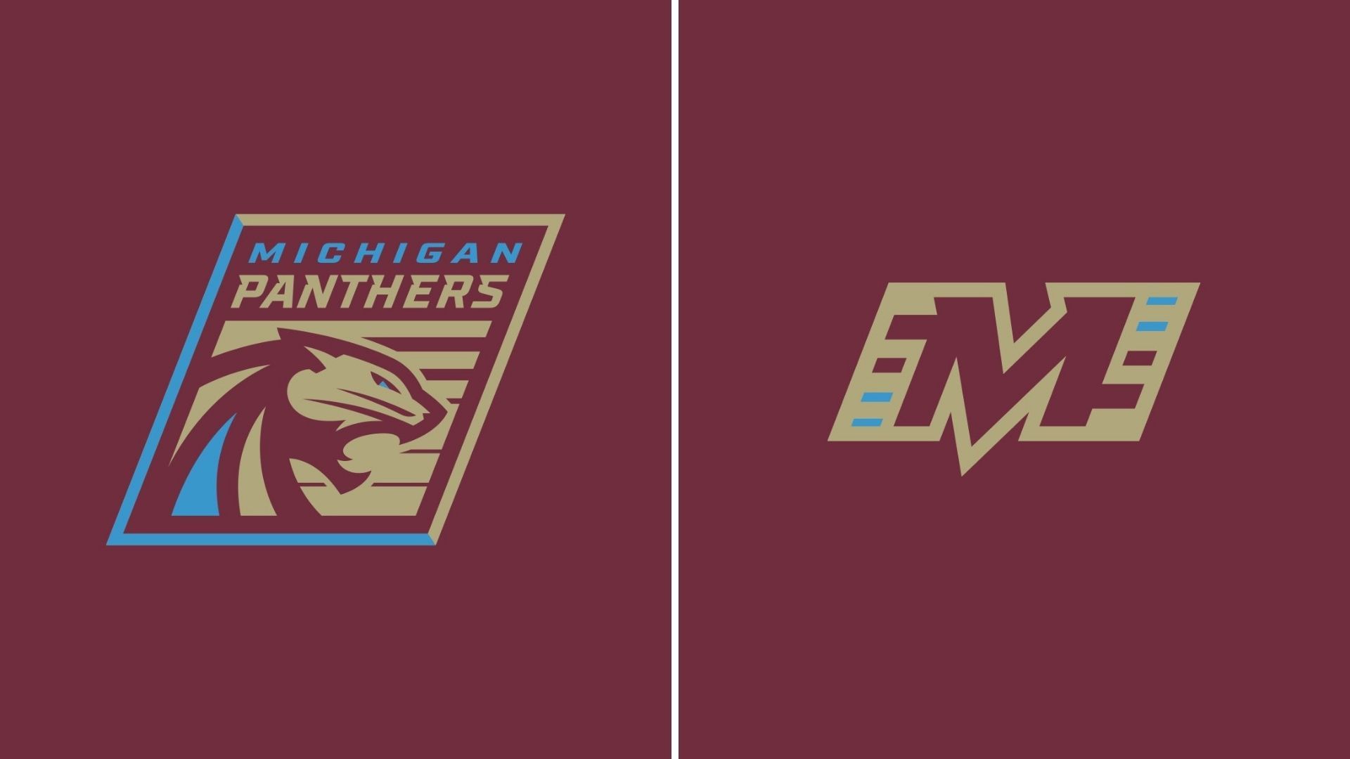 1920x1080 Michigan Panthers, Roster, Schedule, Stats