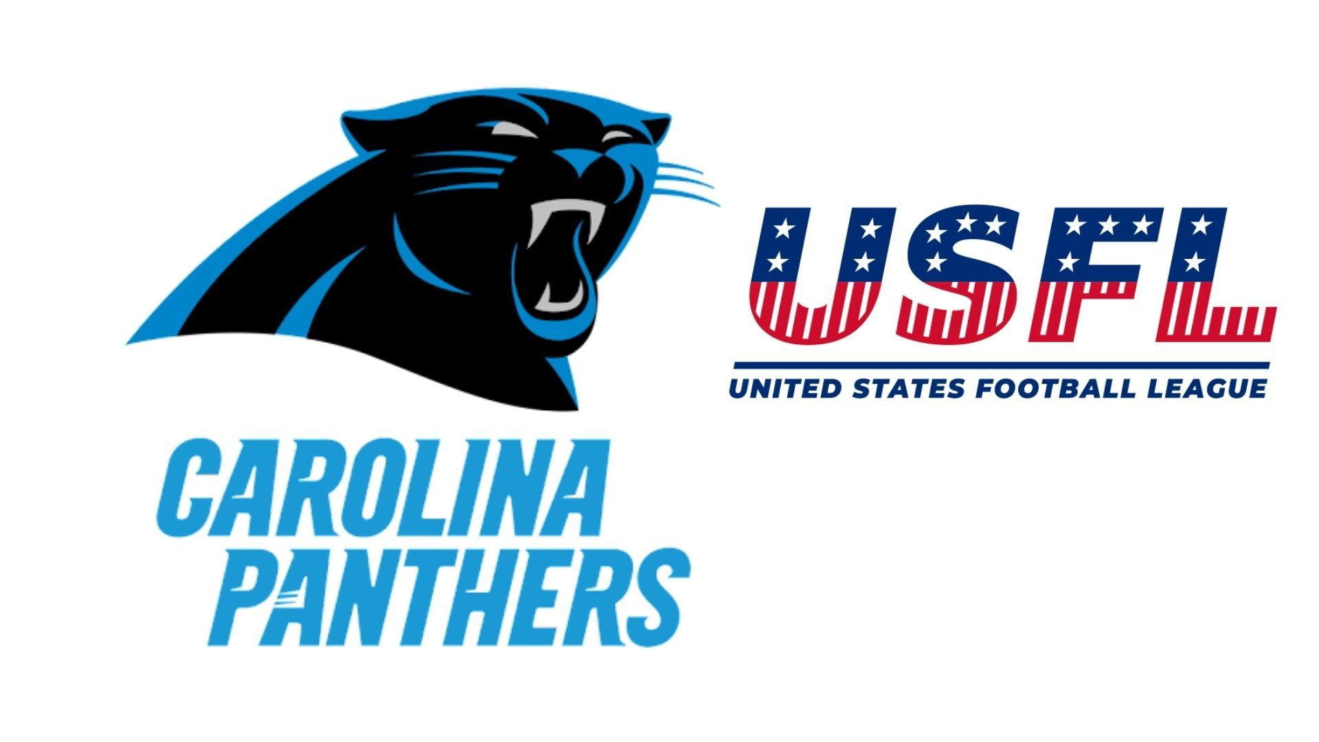 1920x1080 NFL Takes Issue With USFL's Michigan Panthers Trademark