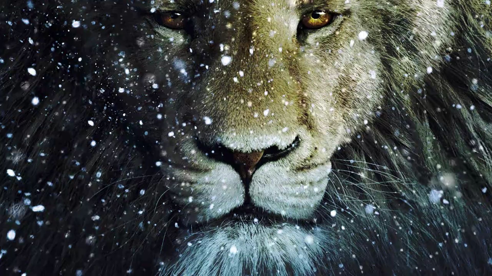 1920x1080 Aslan NARNIA 3 lion