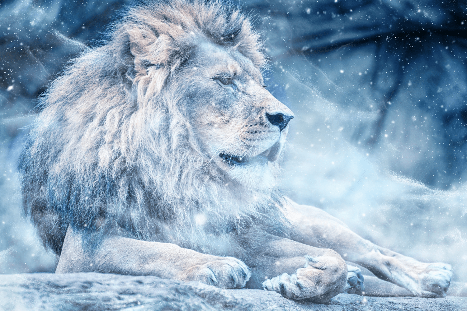 1500x1000 Story story about Aslan defeating the White Witch (sketchboard)