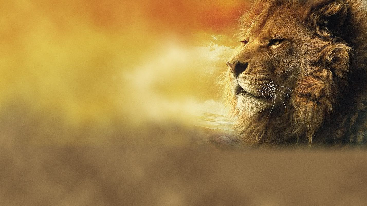 1428x803 The Chronicles of Narnia: The Lion, the Witch and the Wardrobe