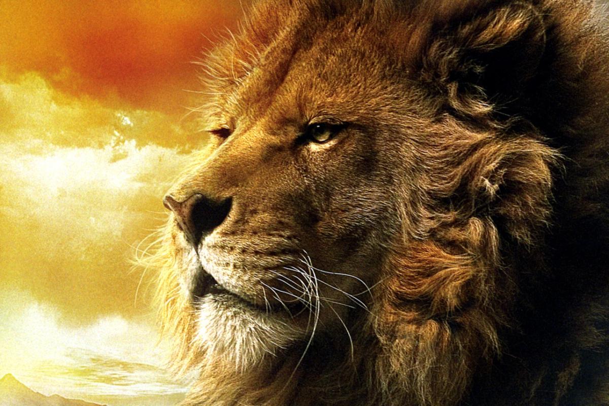 1200x800 The Chronicles of Narnia' Will Be Adapted Into Shows and Movies at Netflix