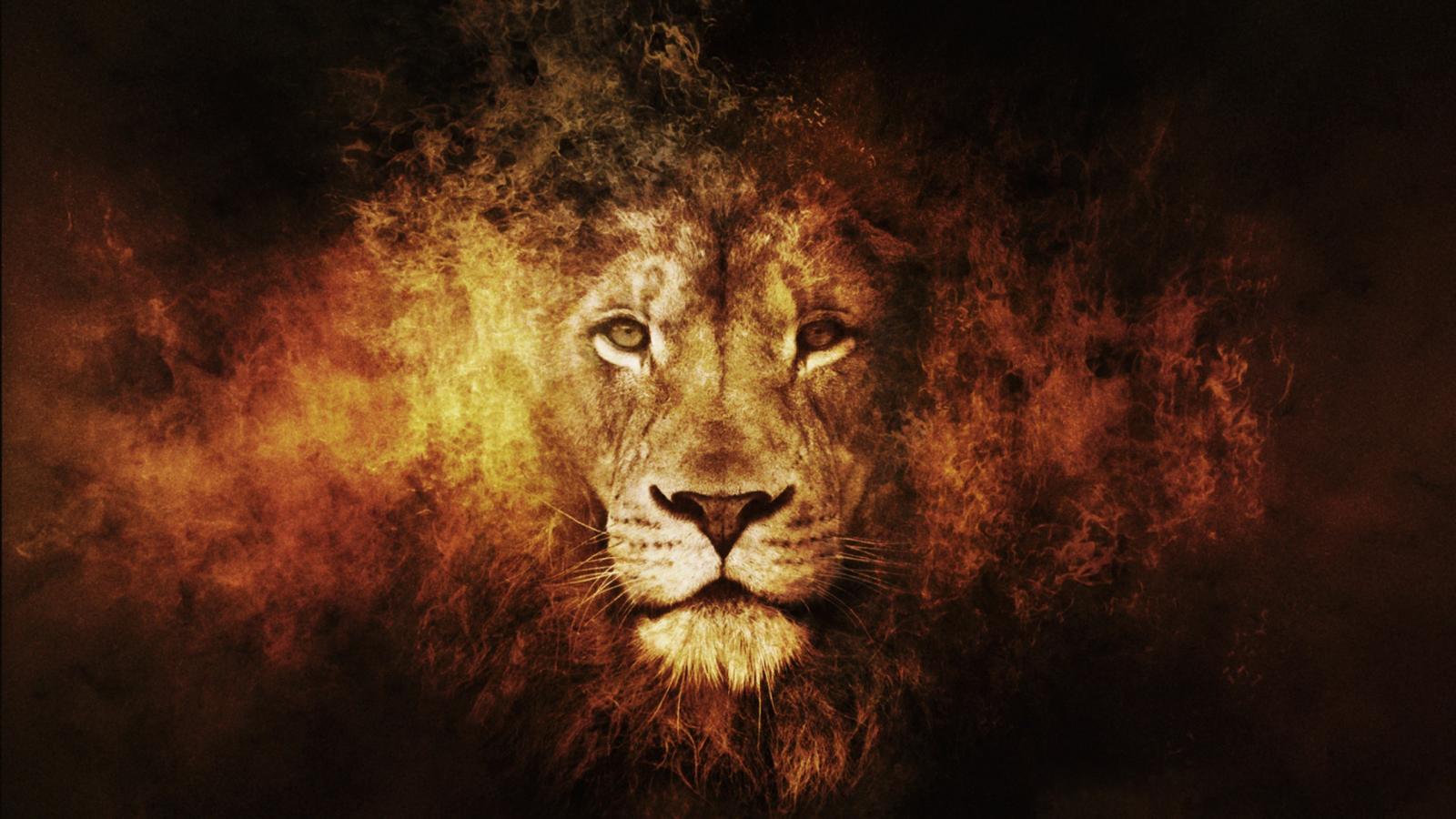 1600x900 Fire king artwork lions narnia aslan wallpaper 33770