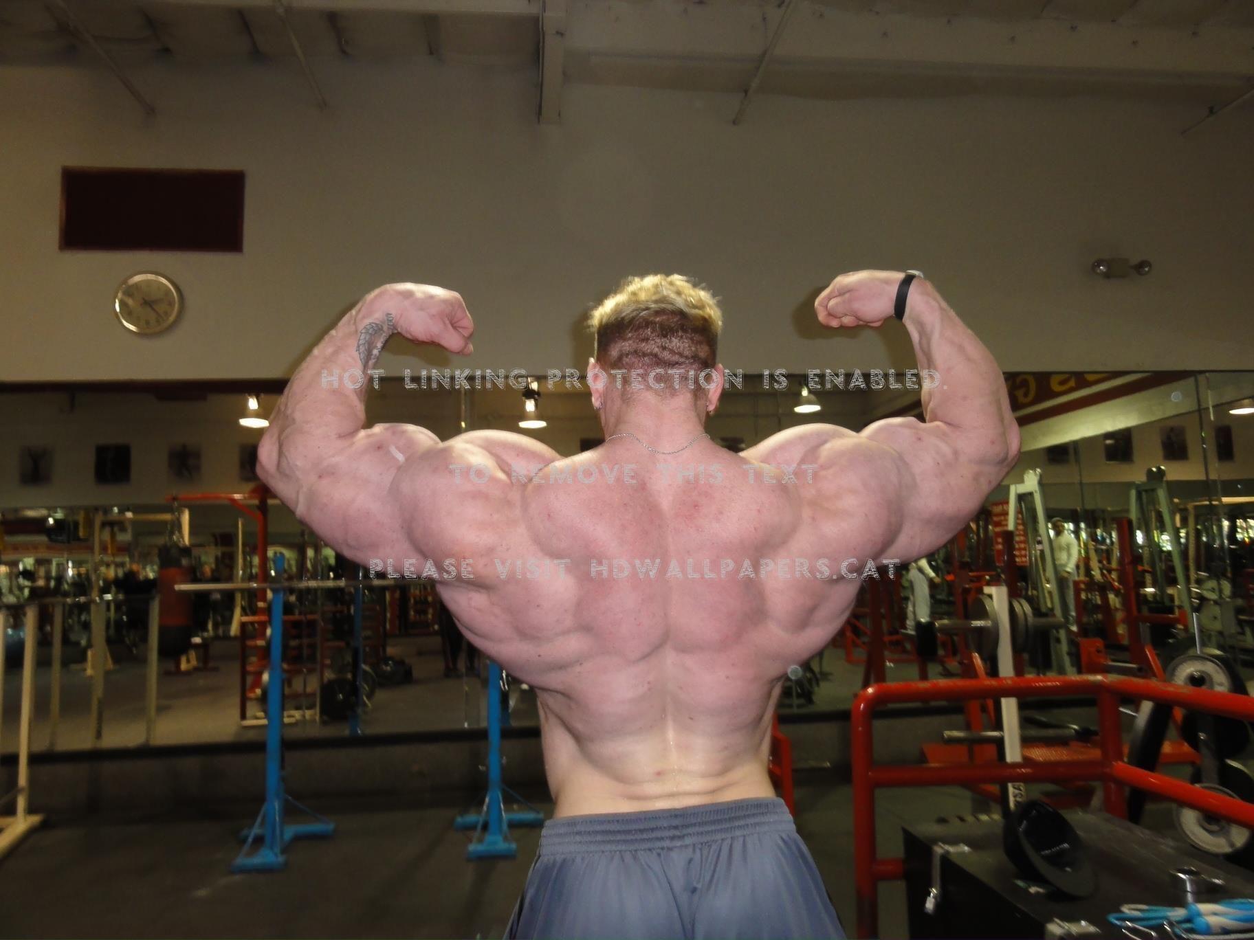 1824x1368 dennis wolf male model bodybuilder people