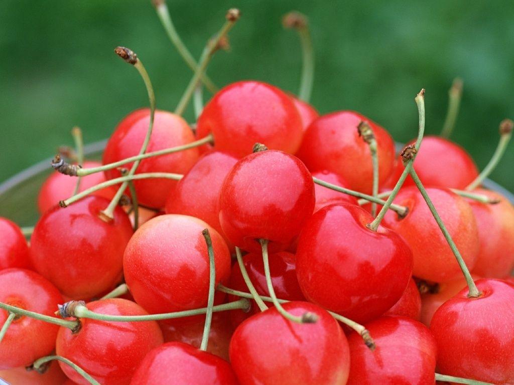 1024x768 Cherries Fruit wallpaperx768