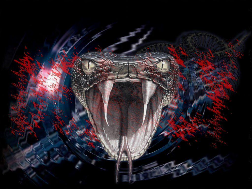1024x768 Snake Attack Wallpaper 1586 - Cobra Snake Wallpaper