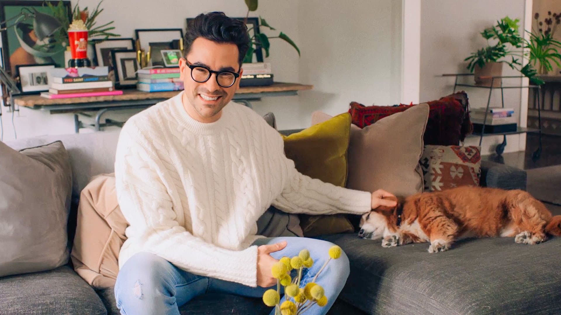 Dan Levy Wallpapers - Top Free Dan Levy Backgrounds - WallpaperAccess