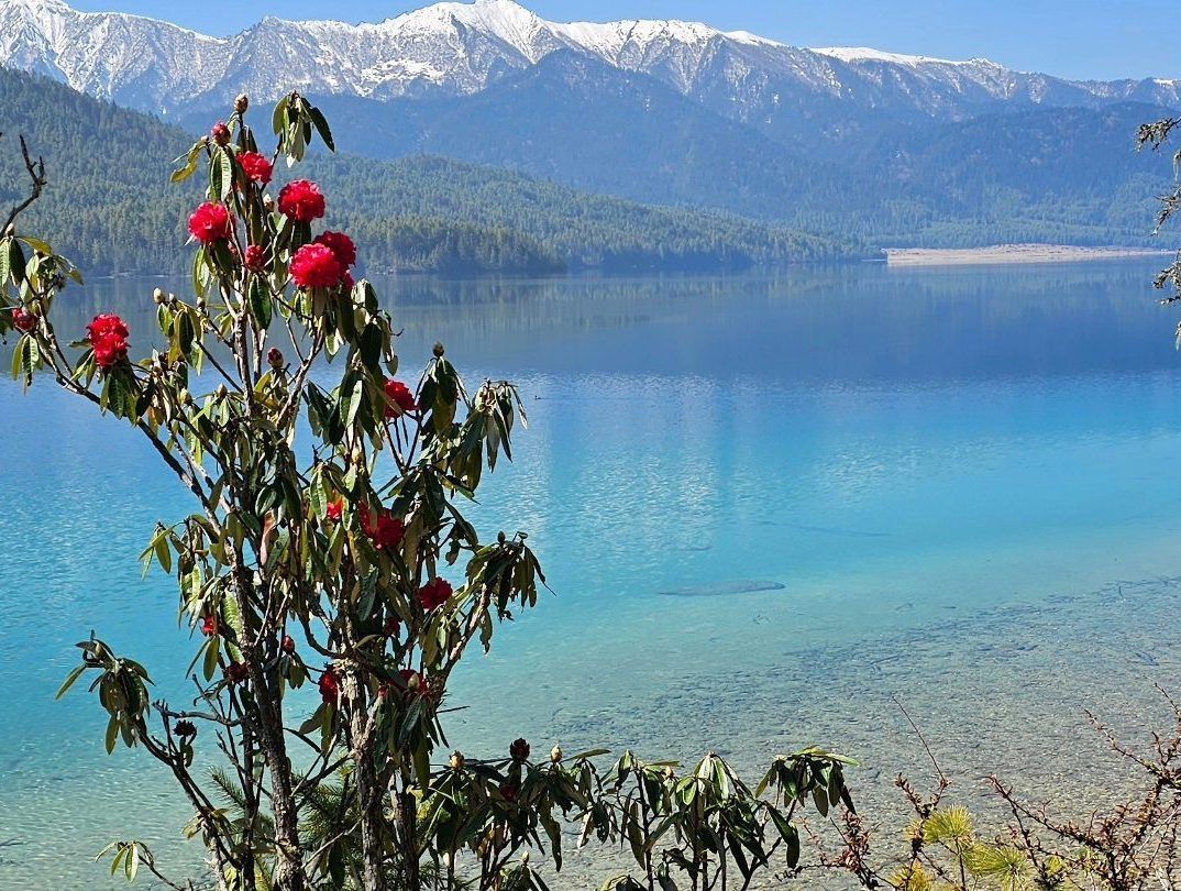 Rara Lake Wallpapers - Top Free Rara Lake Backgrounds - WallpaperAccess