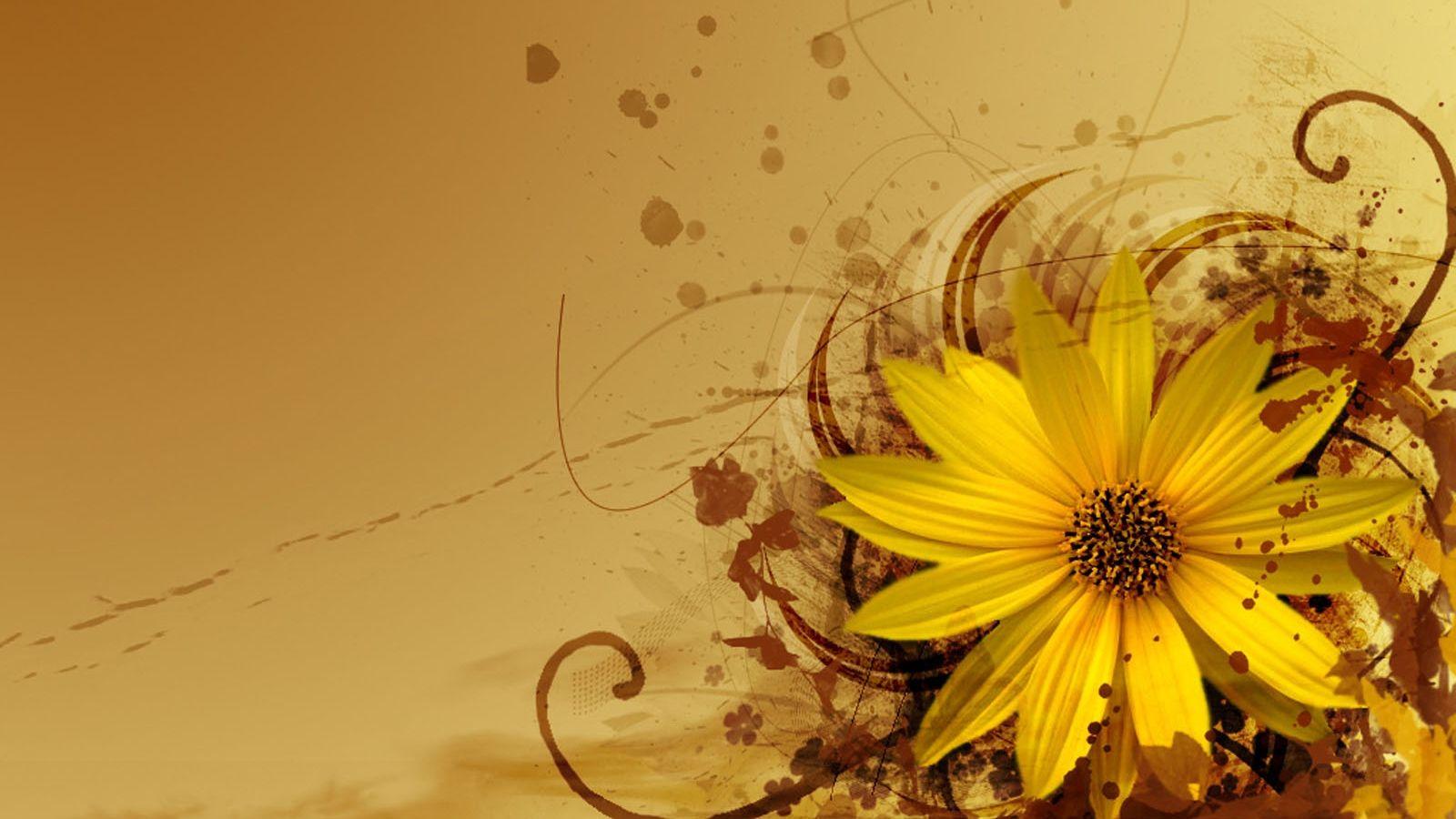 1600x900 Free download Windows 7 Flowers Wallpaper Windows 7Flowers