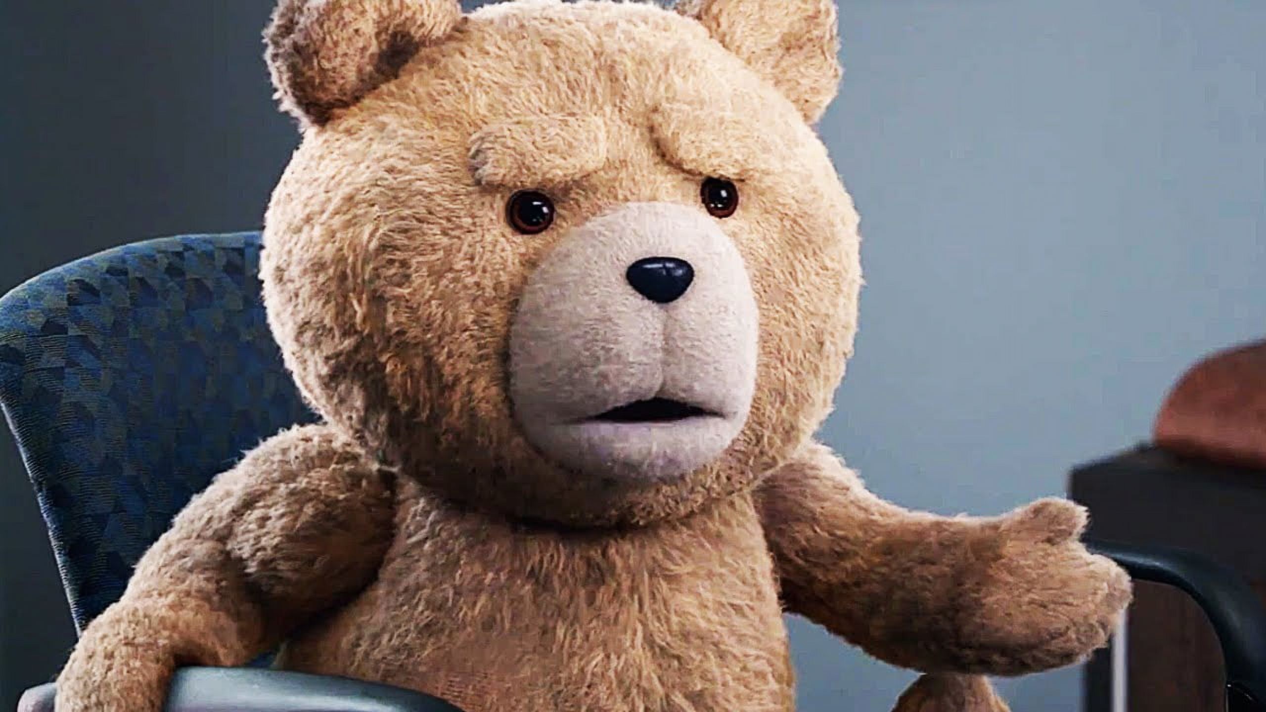 2560x1440 Buy Ted & Ted 2 (Blu Ray) Online Jamaica