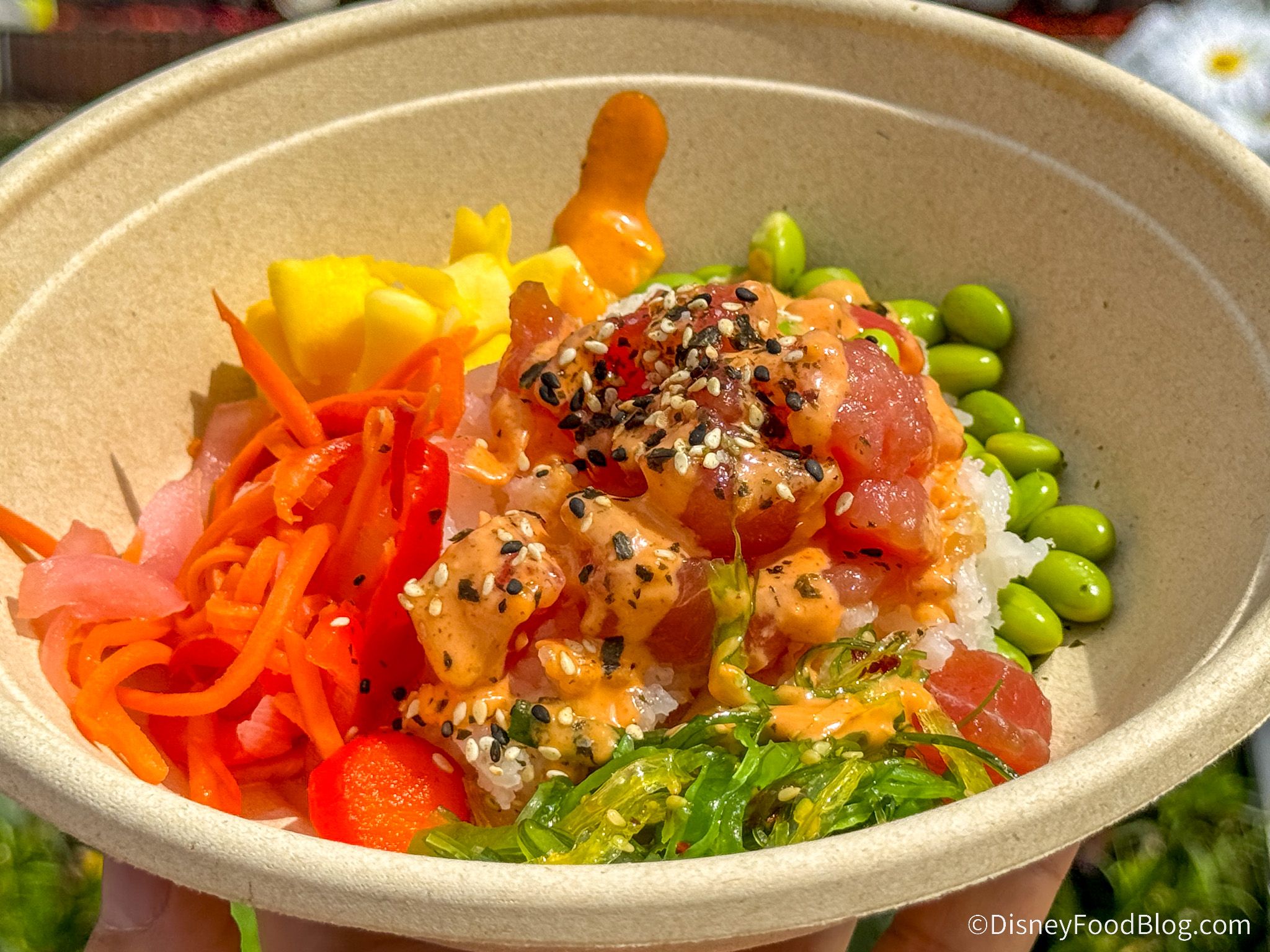2048x1536 nectar food booth. the disney food blog