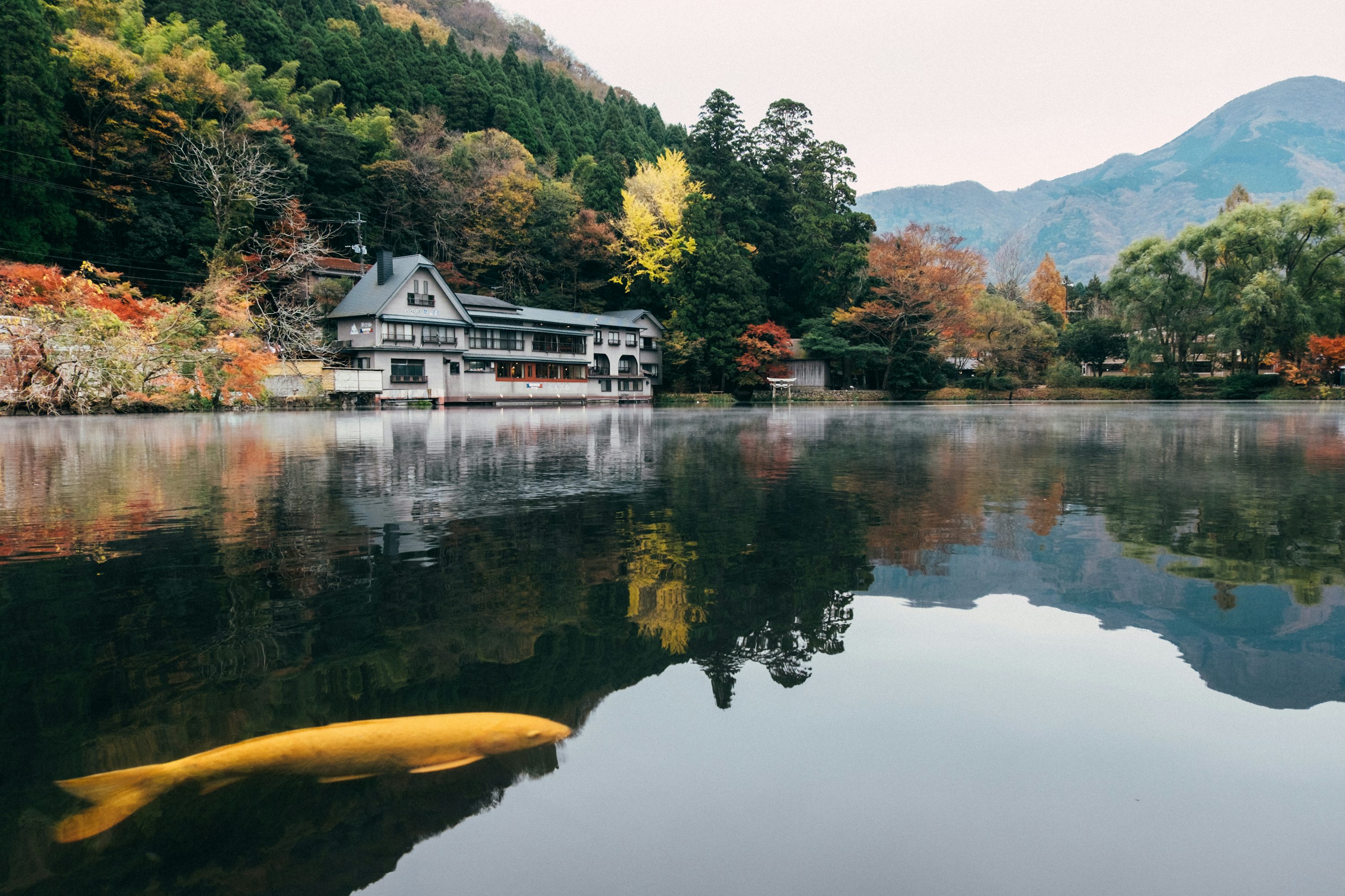 3000x2000 Kyushu Picture. Download Free Image