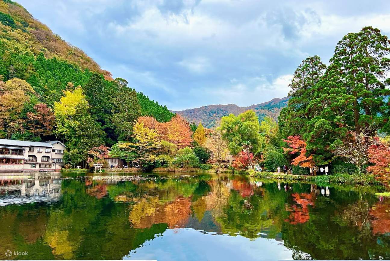 1295x868 Autumn Limited Kyushu Beppu Fall Color Viewing Day Tour｜Kamado Shrine + Yufuin + Umijigoku + Yabakei Stream｜Chinese and English Tour Guide (Depart from Fukuoka) United States