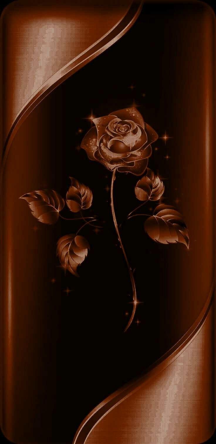 736x1512 Chocolate brown rose iPhone case. Rose iphone case, Pink roses