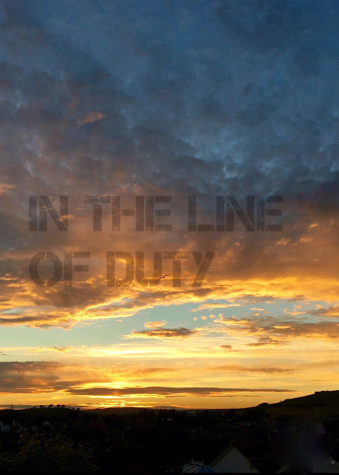 1142x1600 In the Line of Duty (TV Series 2002– )