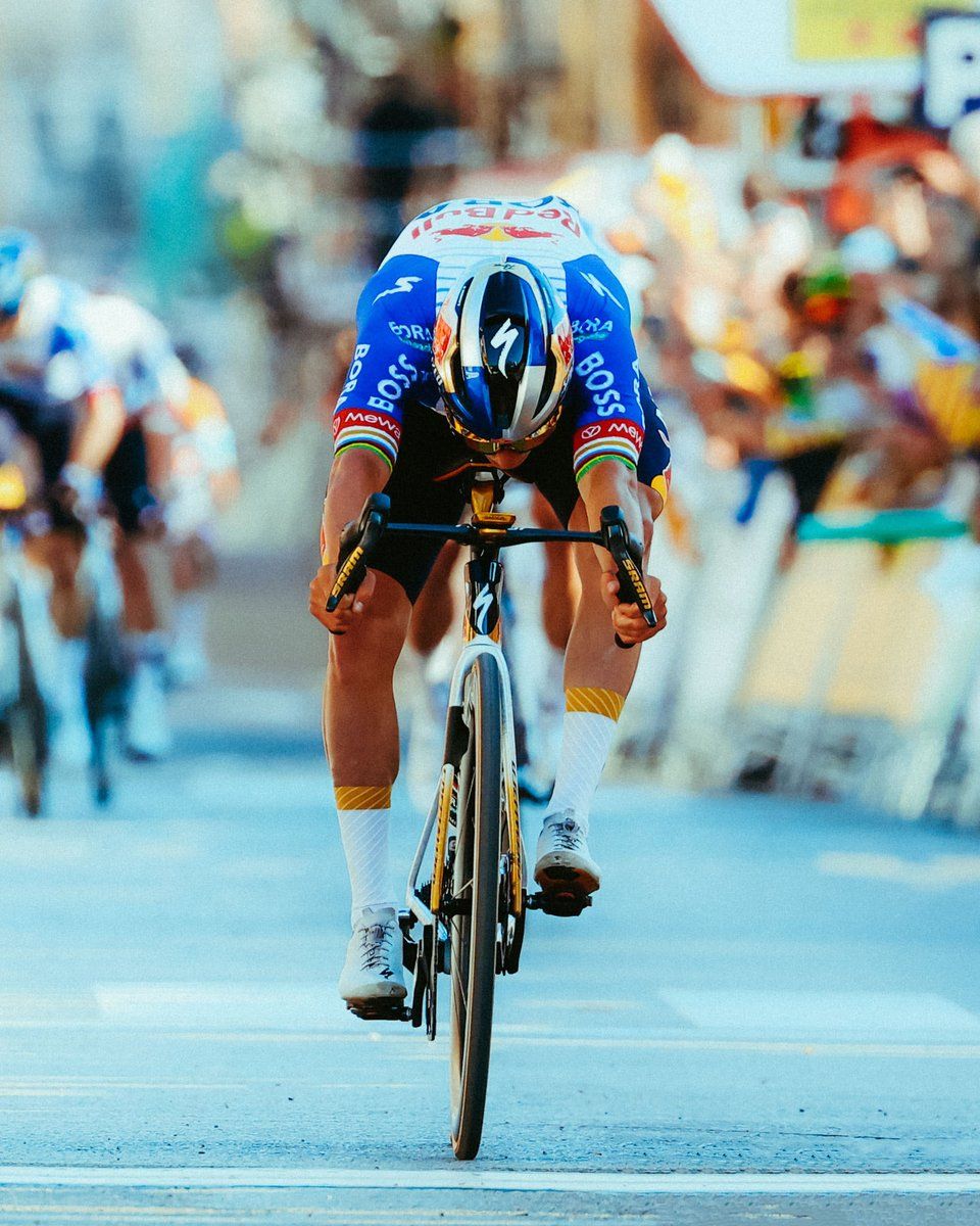 960x1200 Remco Evenepoel / Posts / X