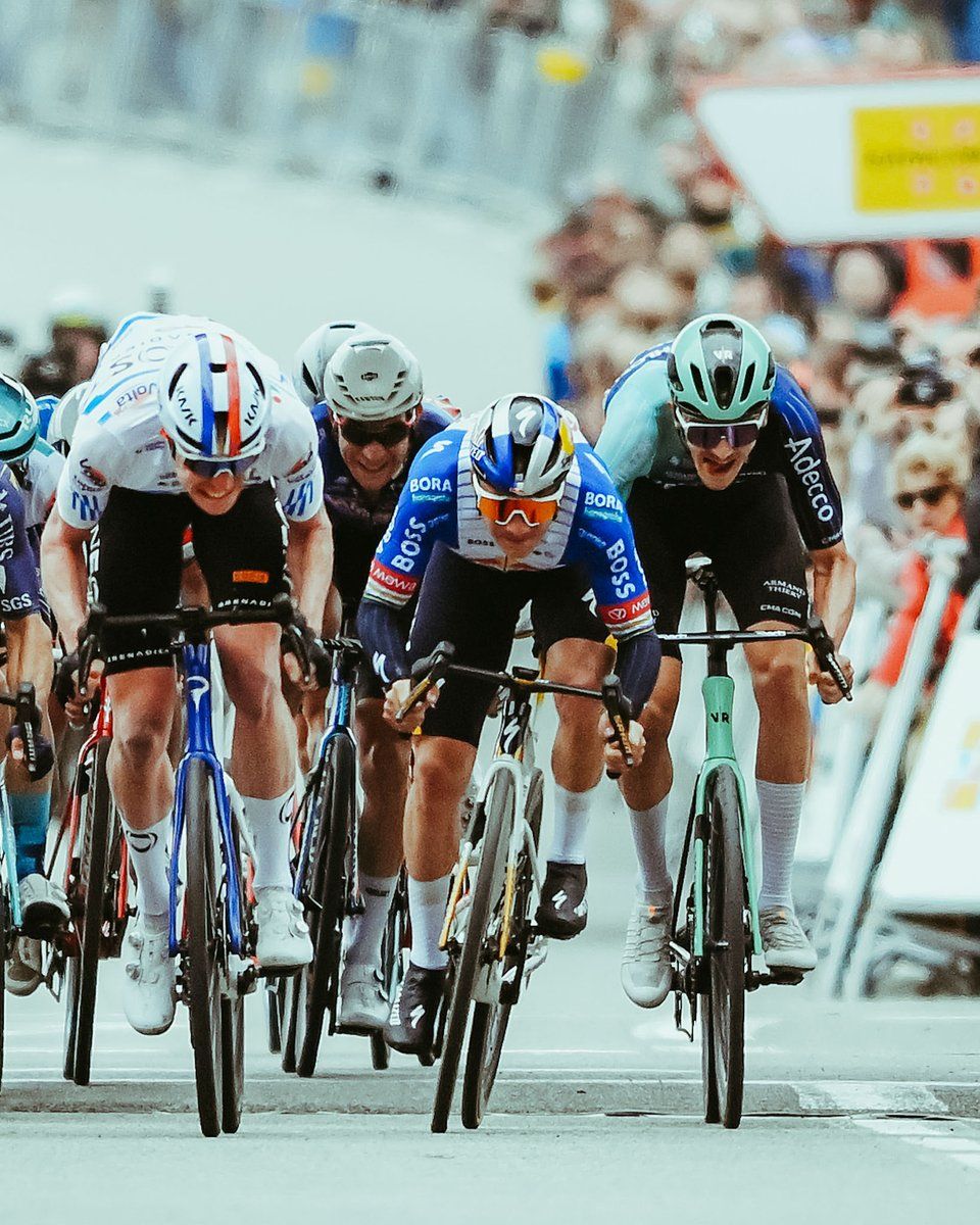 960x1200 Remco Evenepoel / Posts / X