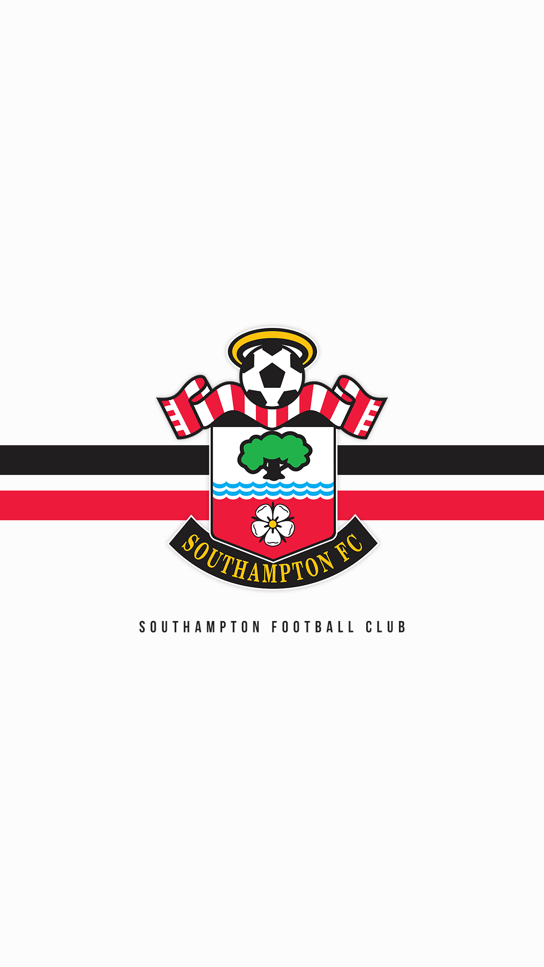 1080x1920 Southampton FC Phone Wallpaper