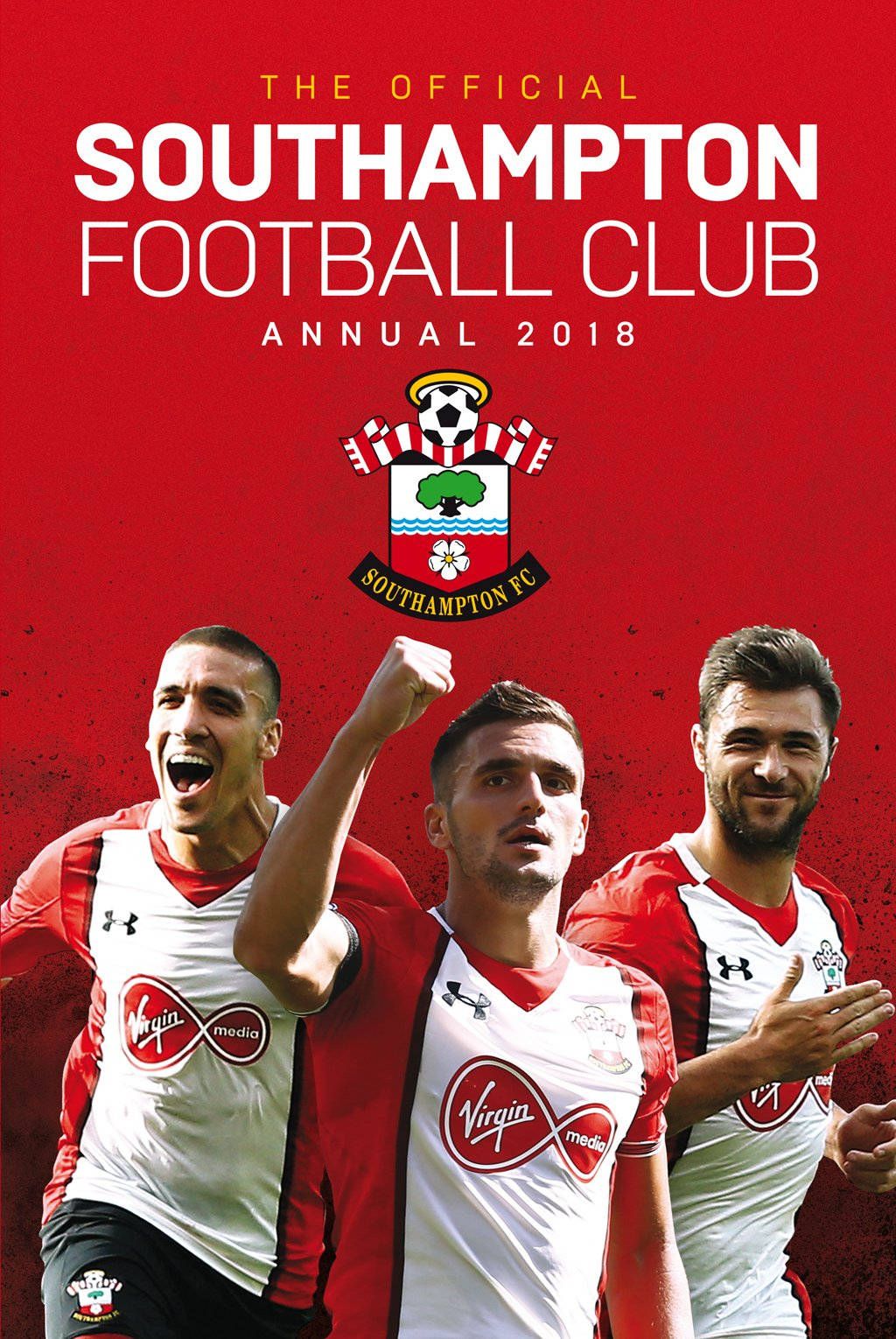 1024x1530 Download Southampton FC Poster Wallpaper