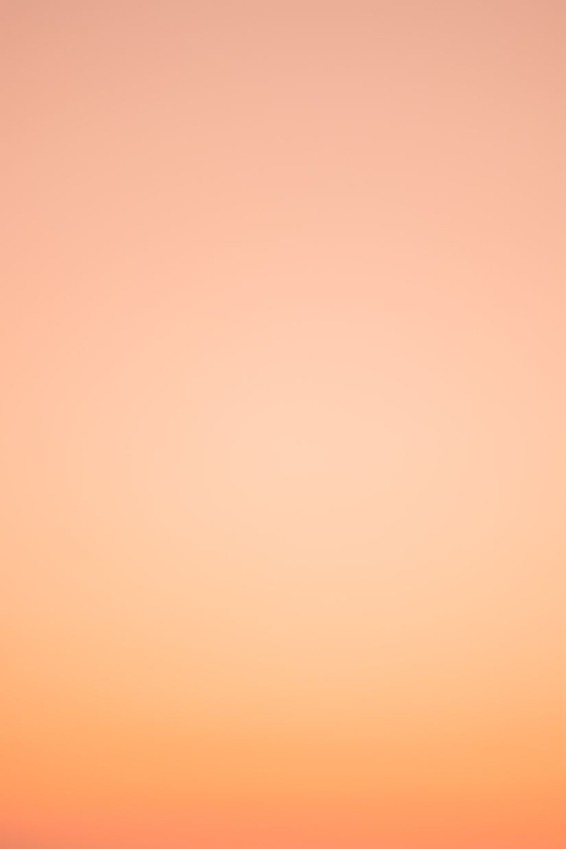 825x1237 Orange Coral Fade Wall Mural