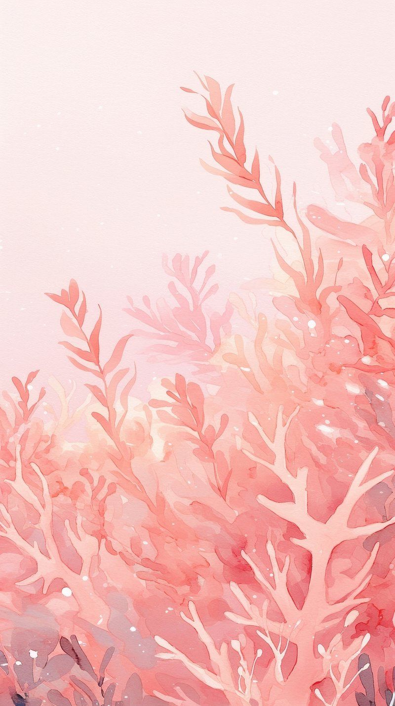 800x1427 Coral Pink Background Image Wallpaper