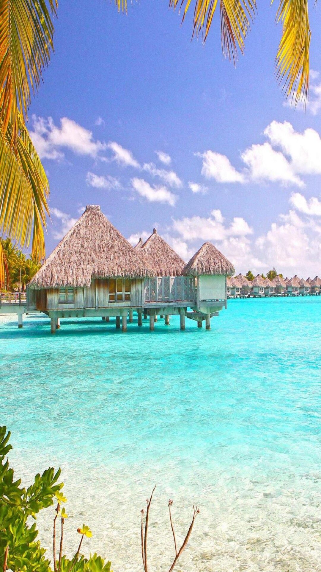 1080x1920 The Bahamas Wallpaper