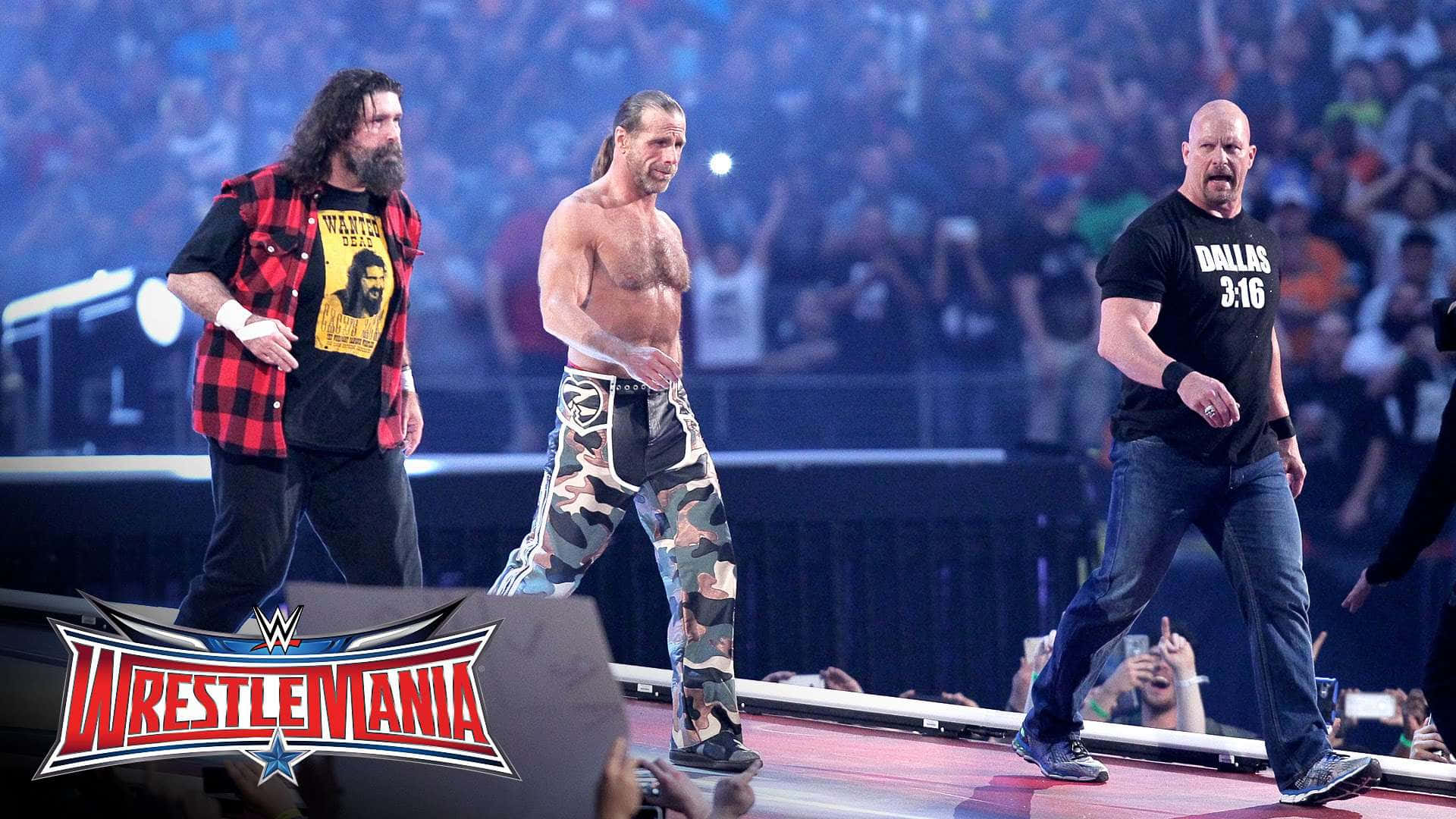 1920x1080 Download American Veteran Wrestler Mick Foley Shawn Michaels And Steve Austin Wallpaper