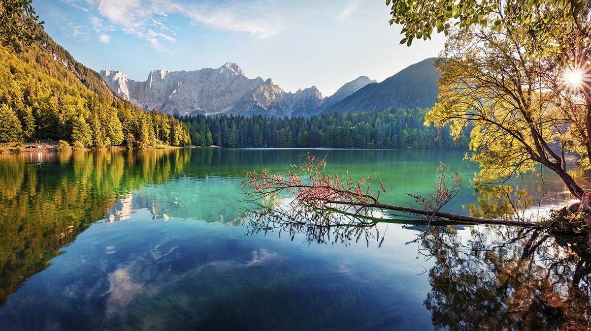 1200x673 Beautiful River Landscape, Forest Wallpaper for Walls®