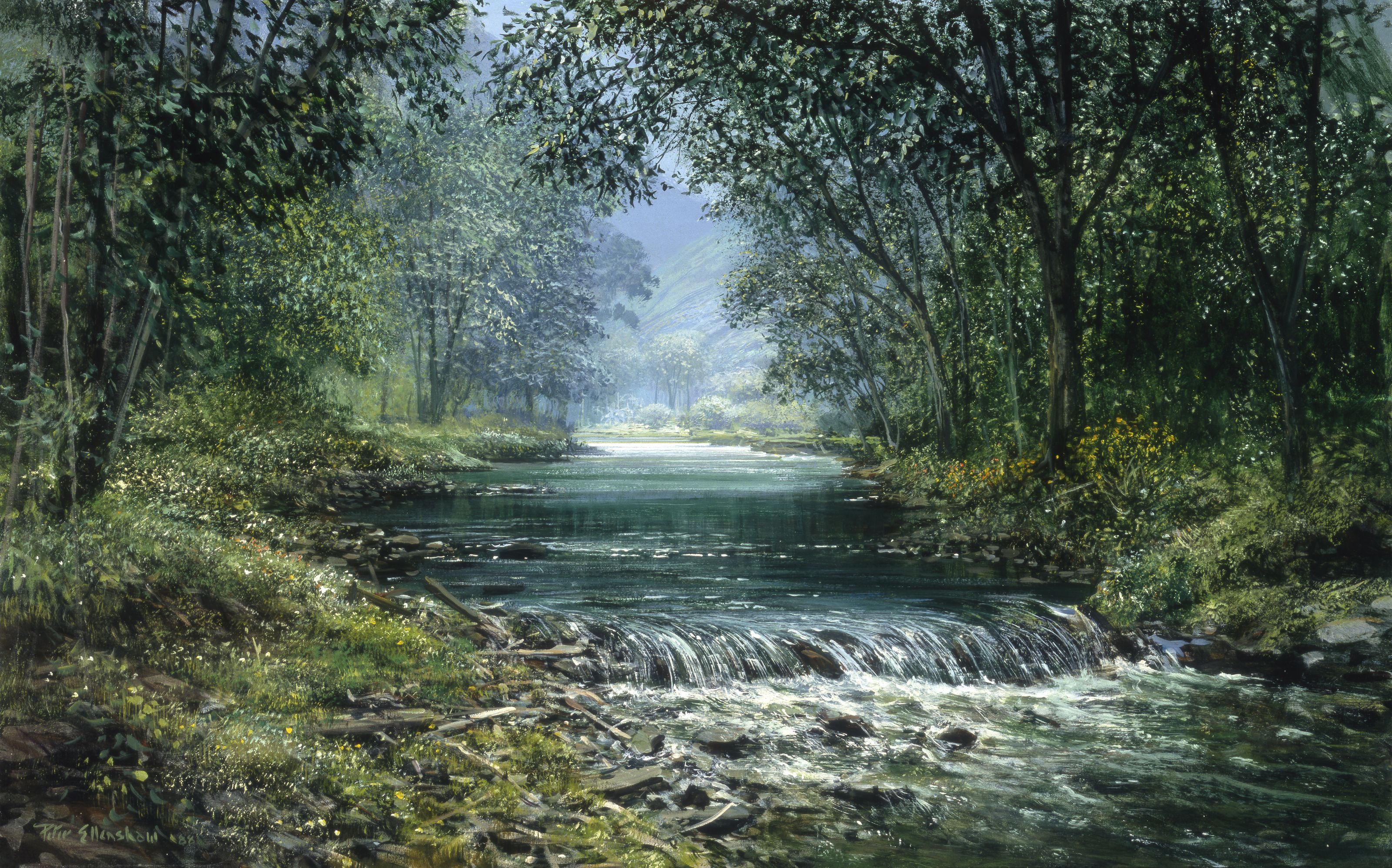 3200x1996 Forest Stream Wall Mural
