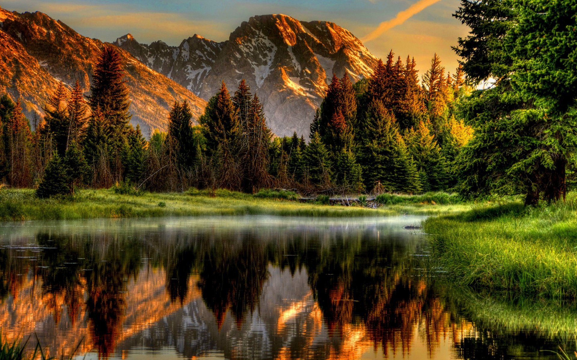 1920x1200 Stunning HDR Forest River Reflection Wallpaperx1600