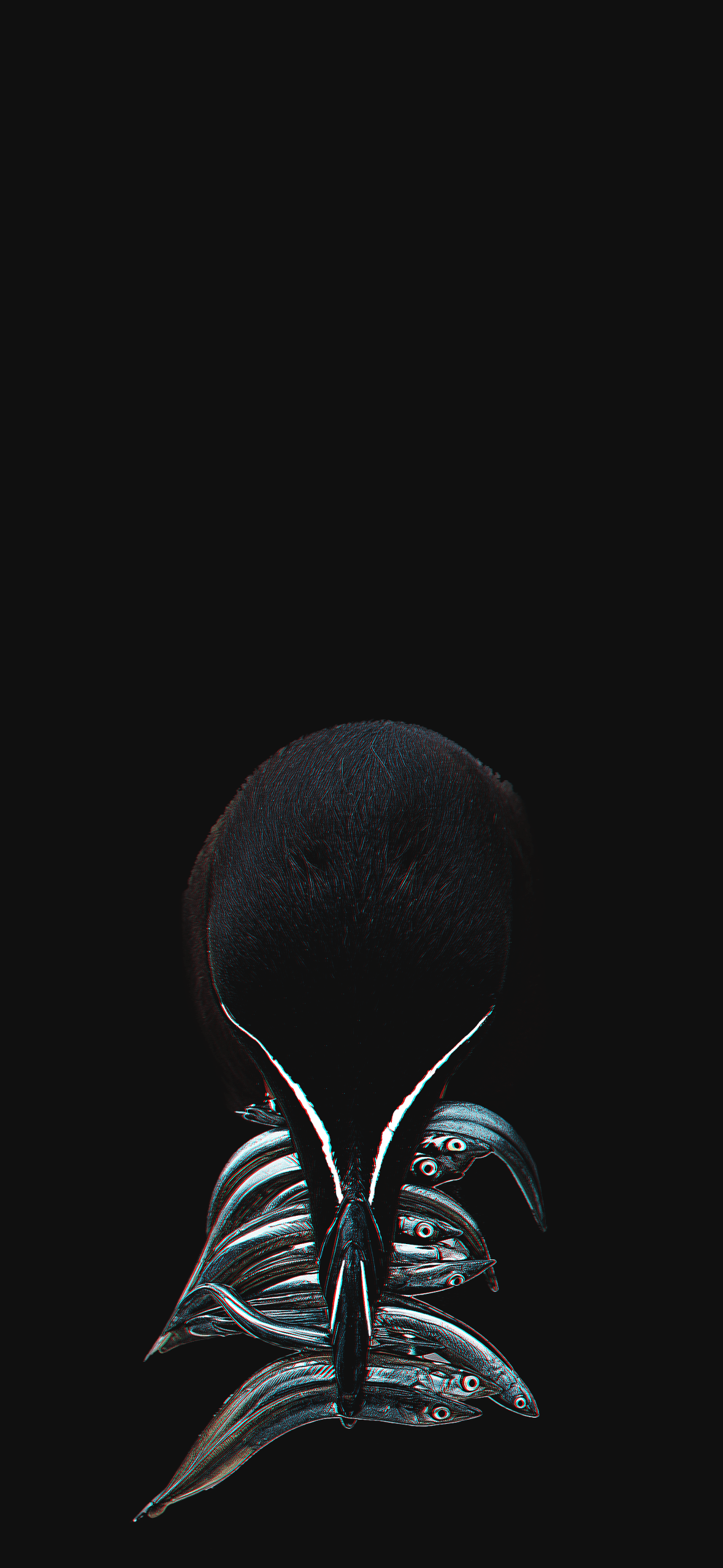 1179x2556 Razorbill Wallpaper 4K