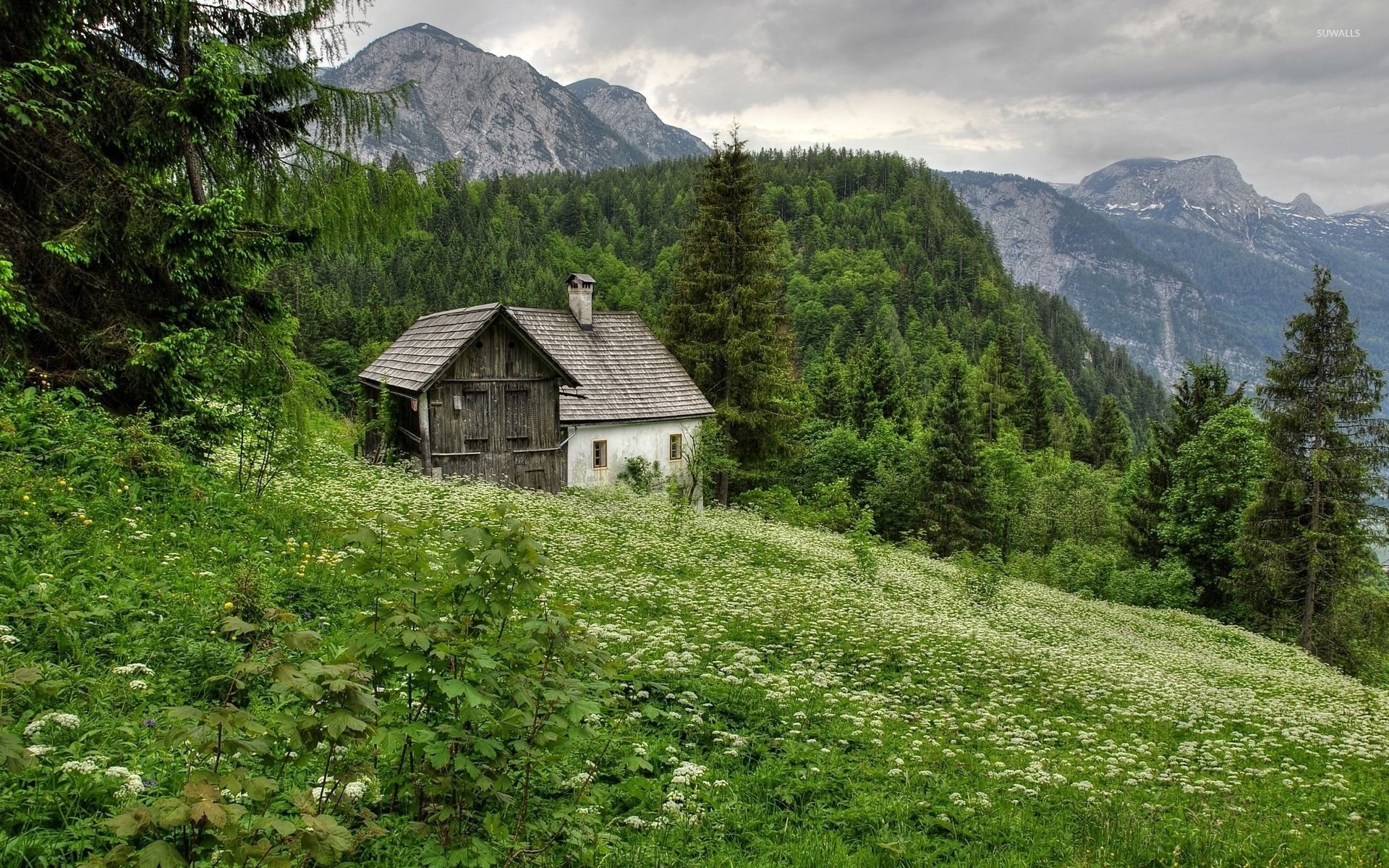 1920x1200 Old house in the forest mountain wallpaper wallpaper