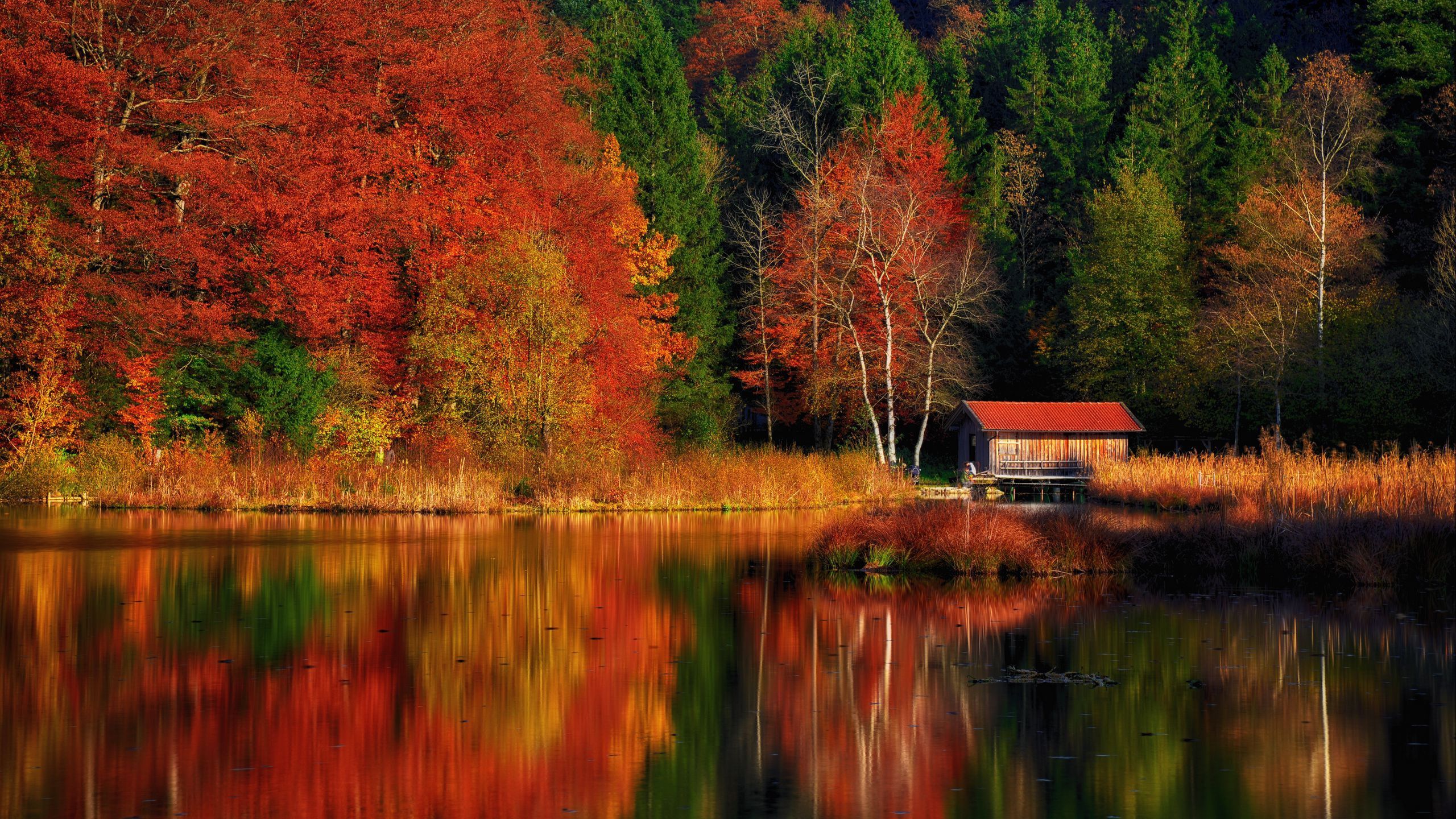 2560x1440 Beautiful Nice Landscape View Of Green Red Yellow Autumn Trees Forest House Reflection On Lake During Daytime HD Nature Wallpaper